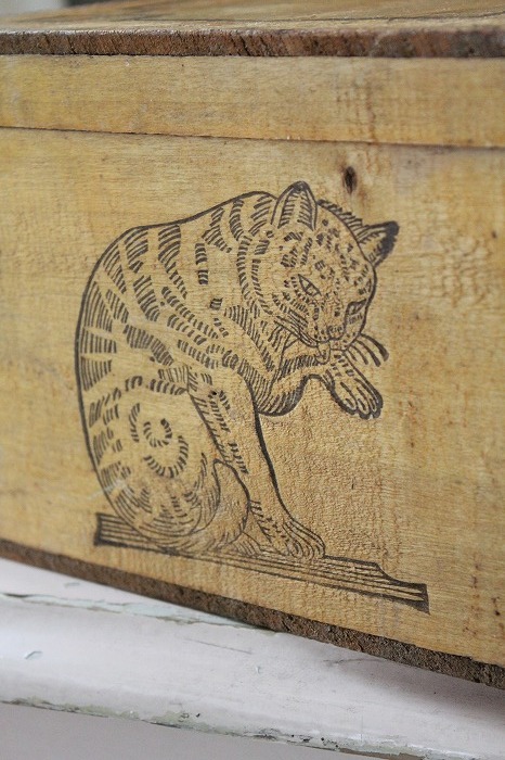 フランスアンティーク　愛らしい猫さんたちのbox フランスアンティーク 猫の石鹸箱」ココン・フワット