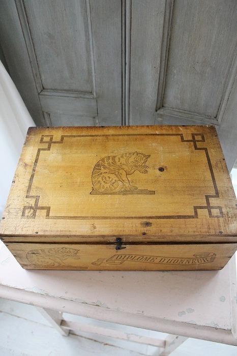 フランスアンティーク 木箱 猫 ウッドボックス 19世紀 1890年